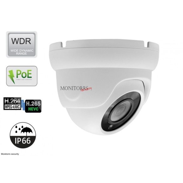 Monitorrs Security - IP dóm kamera 2 Mpix - 6001
