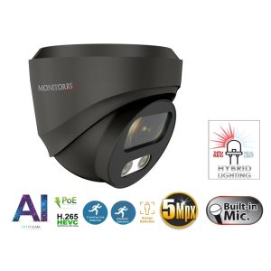 Monitorrs Security - AI Hybrid Light IP kamera 5 Mpix GDome - 6142