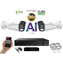   MS - AI IP park kamerarendszer 2 kamerával switchel 5 Mpix - 6185K2B