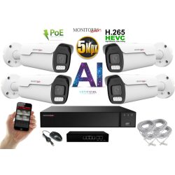   MS - AI IP park kamerarendszer 4 kamerával switchel 5 Mpix - 6185K4B