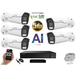   MS - AI IP park kamerarendszer 5 kamerával switchel 5 Mpix - 6185K5B