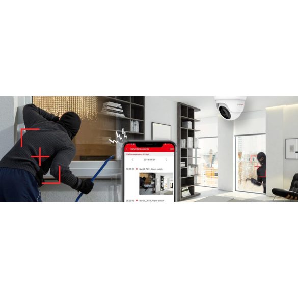 MS - AI IP park kamerarendszer 8 kamerával switchel 5 Mpix - 6185K8B