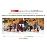 Monitorrs Security - Hybrid Light IP kamerarendszer 5 kamerával 2 Mpix WT - 6213K5