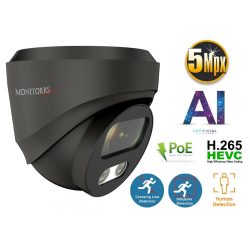 Monitorrs Security - AI IP Dóm kamera 5 Mpix GD - 6371