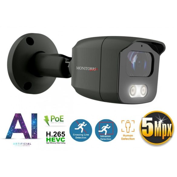 Monitorrs Security - AI IP kamerarendszer 2 kamerával 5 Mpix GT - 6373K2